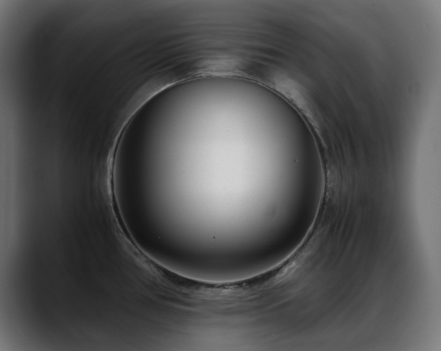 X0000088581386200705251129
