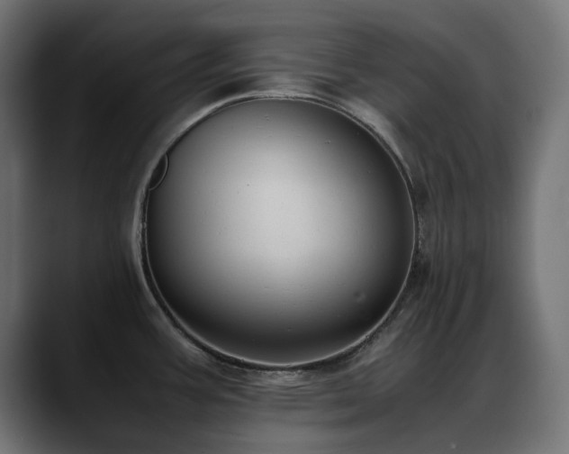 X0000088581387200705251129
