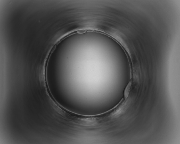 X0000088581388200705251129