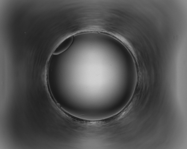 X0000088581390200705251129