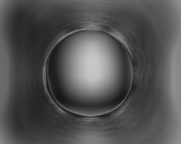 X0000088581391200705251129