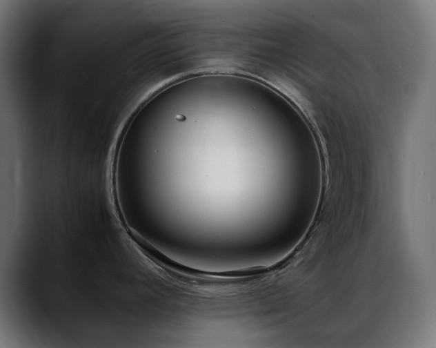 X0000088581392200705251129