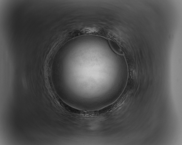 X0000088581393200705251128