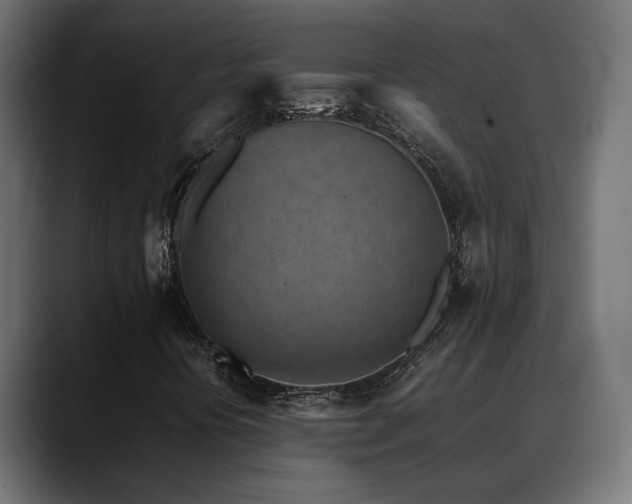 X0000088581394200705251128