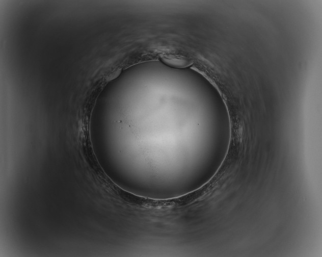 X0000088581397200705251128