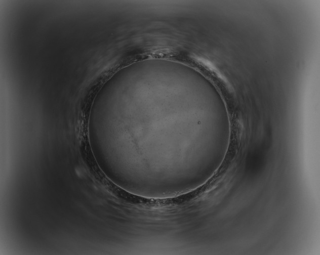 X0000088581399200705251128