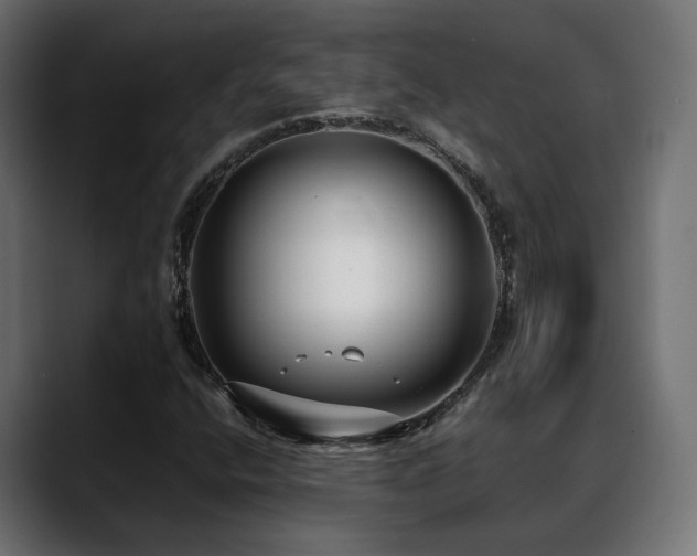 X0000088581400200705251128