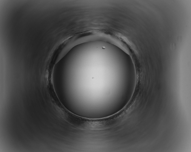X0000088581402200705251128