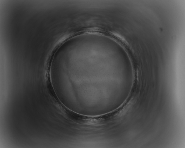 X0000088581405200705251128