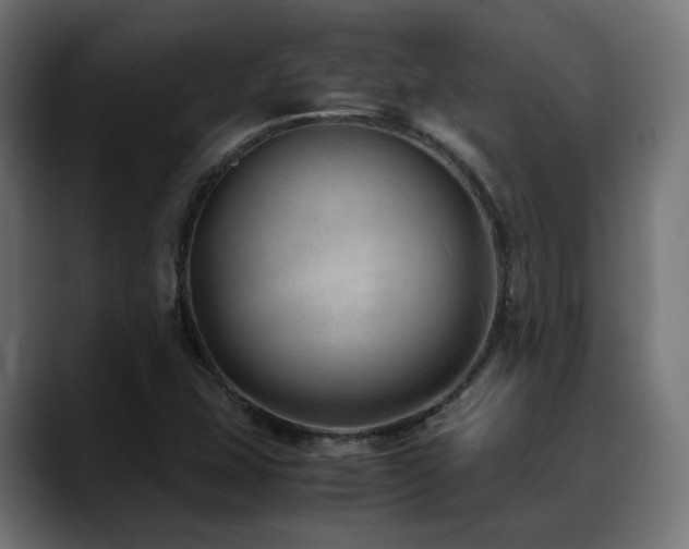 X0000088581407200705251129