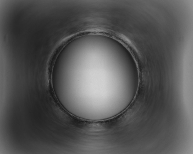 X0000088581408200705251129