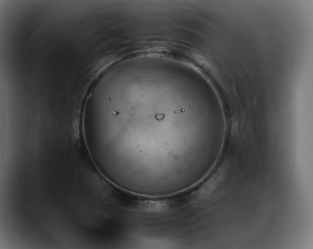 X0000088581409200705251129