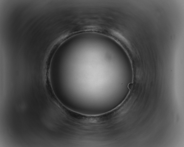 X0000088581411200705251129