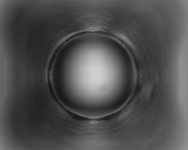 X0000088581412200705251129