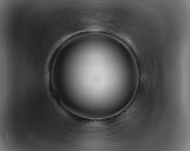 X0000088581414200705251129
