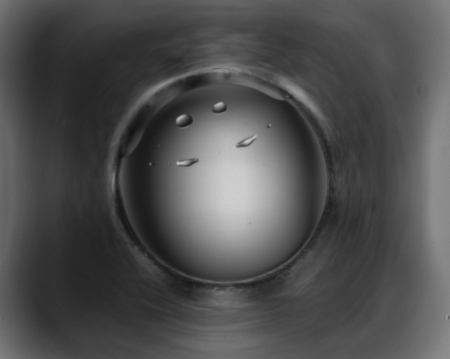 X0000088581416200705251129