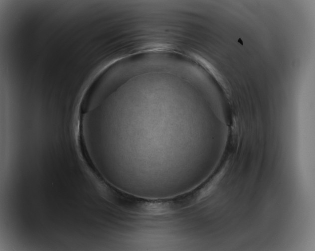 X0000088581418200705251129