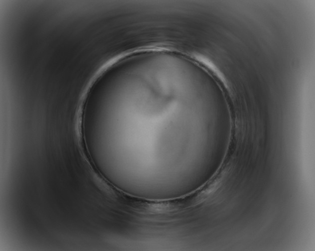 X0000088581421200705251129