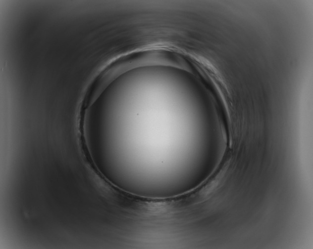 X0000088581422200705251129