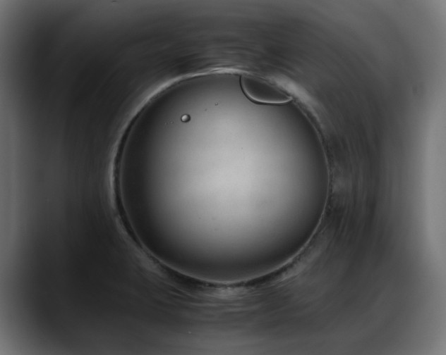 X0000088581423200705251129