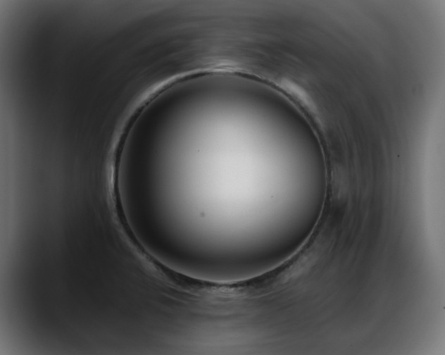 X0000088581424200705251129