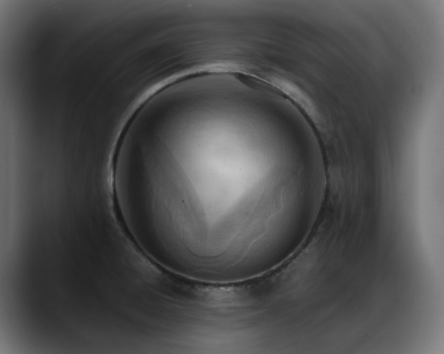 X0000088581428200705251129