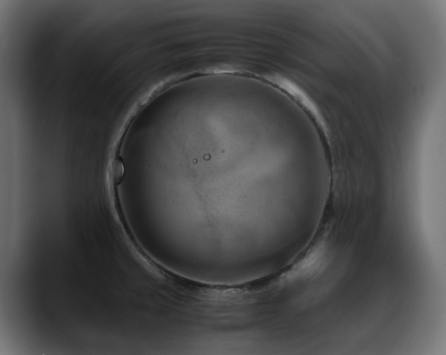 X0000088581429200705251129