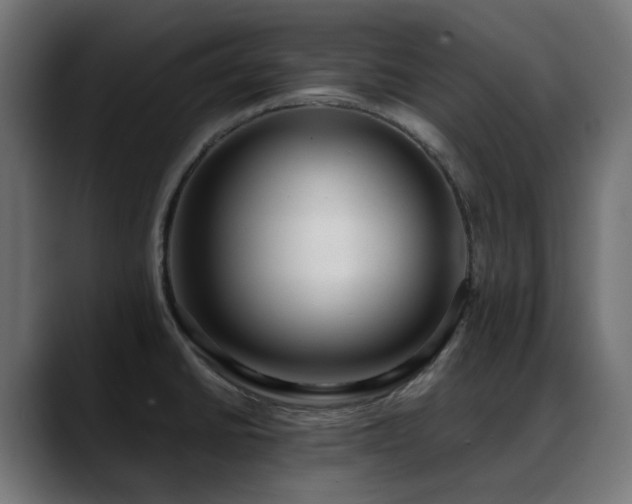 X0000088581430200705251129