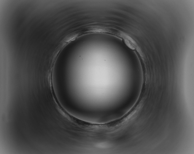 X0000088581433200705251129