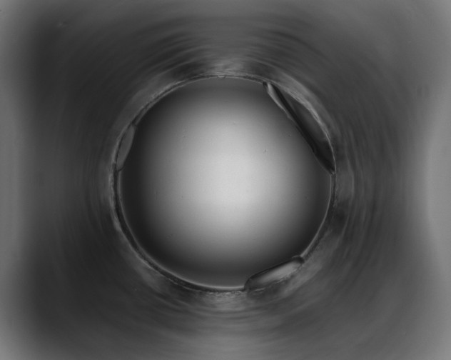 X0000088581434200705251129