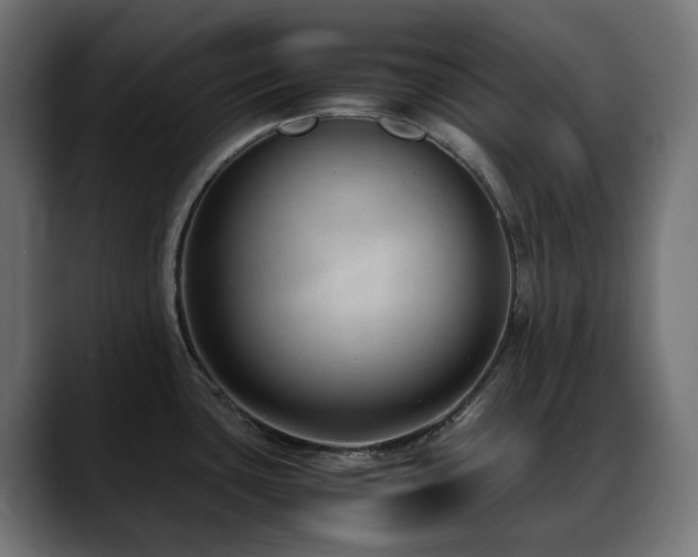 X0000088581435200705251129
