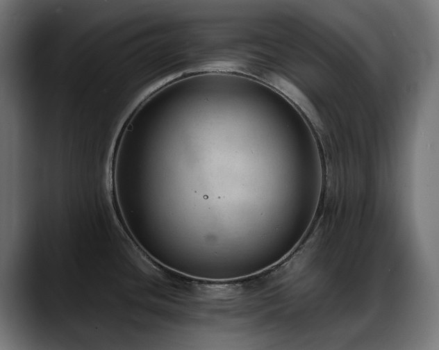 X0000088581436200705251129