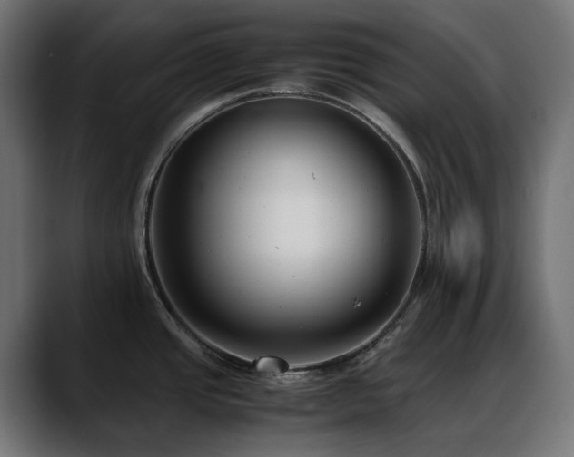 X0000088581437200705251129