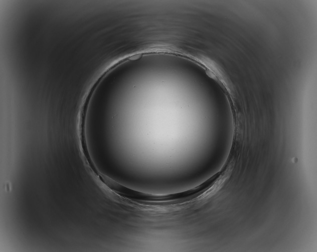 X0000088581438200705251129