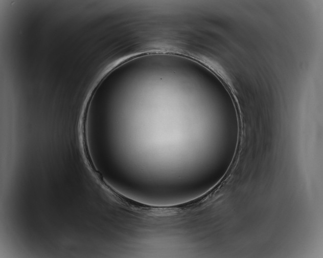 X0000088581440200705251129