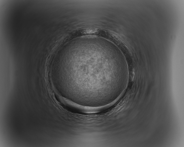 X0000088581441200705251128