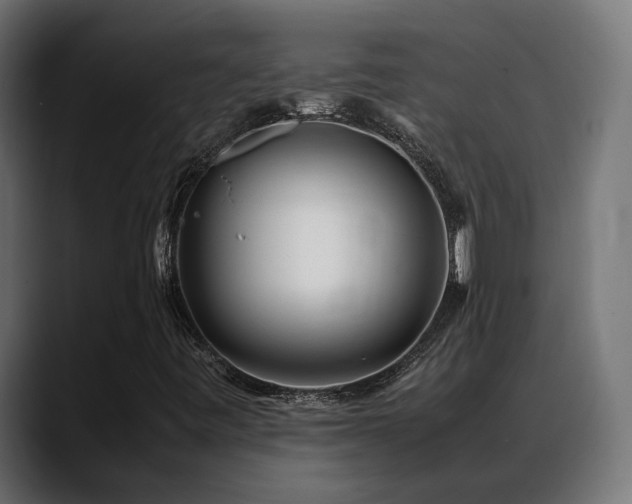 X0000088581443200705251128