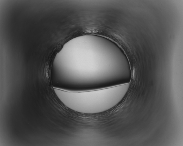 X0000088581444200705251128