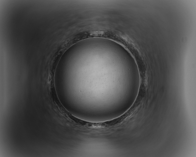 X0000088581445200705251128