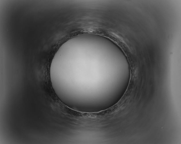 X0000088581446200705251128