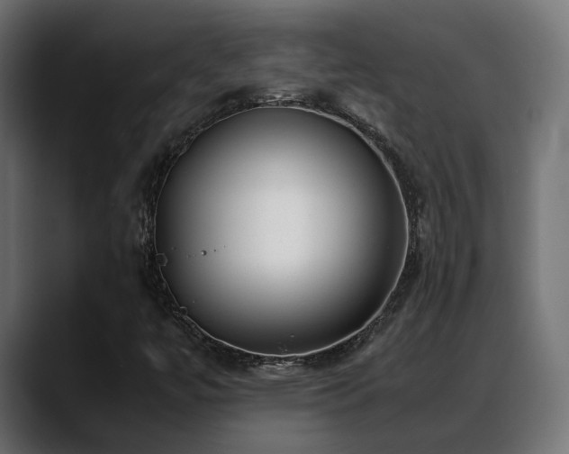 X0000088581447200705251128