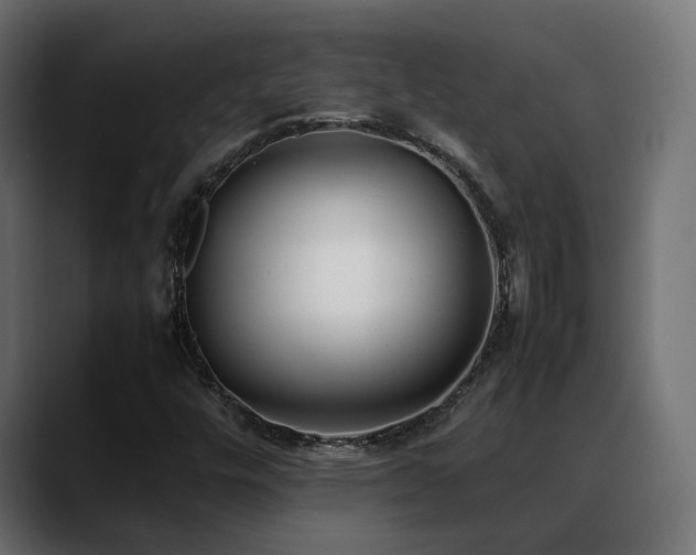 X0000088581448200705251128