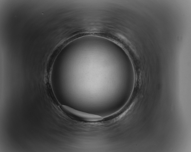 X0000088581449200705251128