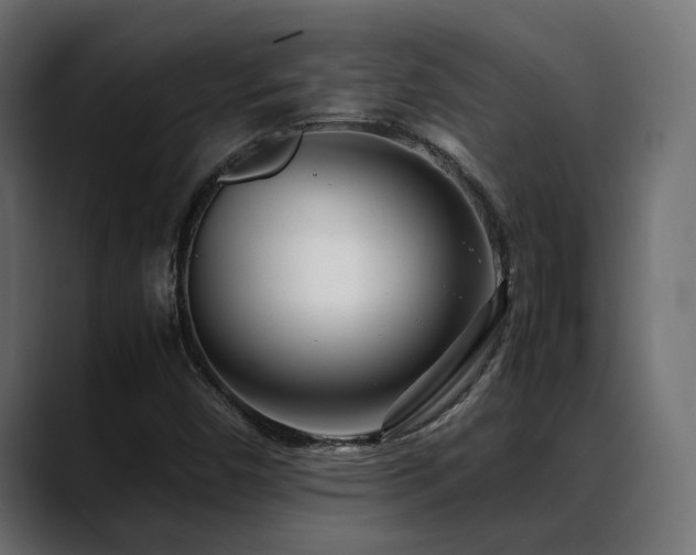 X0000088581450200705251128
