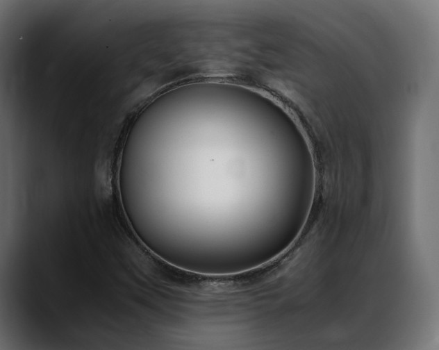 X0000088581451200705251128