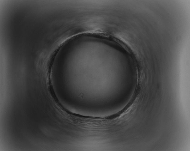 X0000088581455200705251128