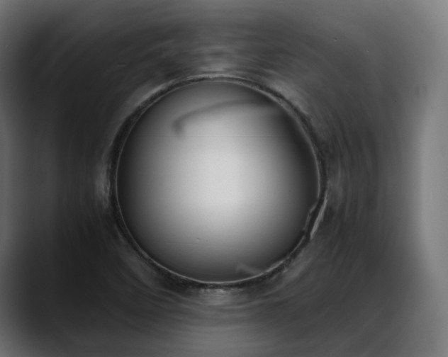 X0000088581458200705251128
