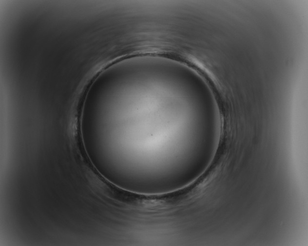 X0000088581459200705251128