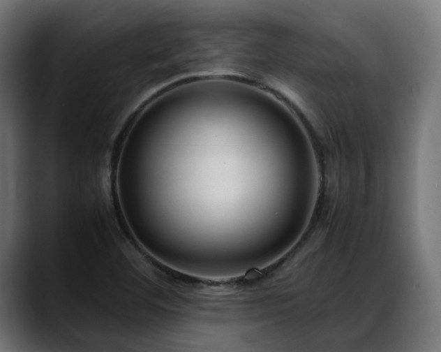 X0000088581460200705251128