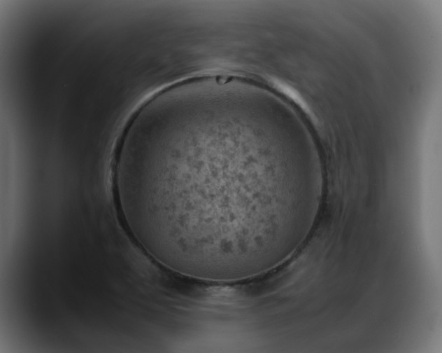 X0000088581463200705251128